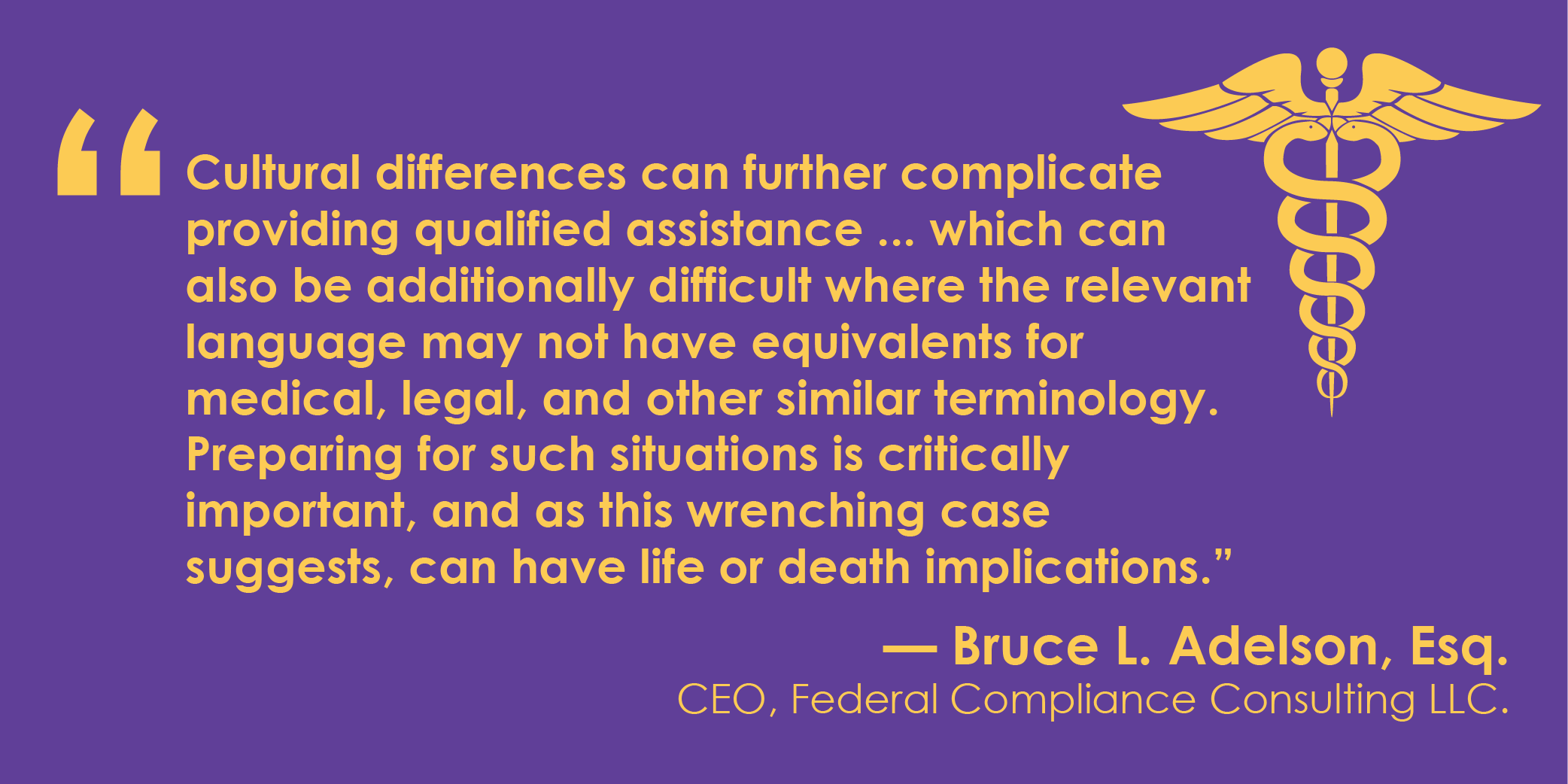In Singemasa v. Kapiolani Medical Center for Women and Children, the case revolved around the tragic death of a child whose mother was Limited English Proficient.
