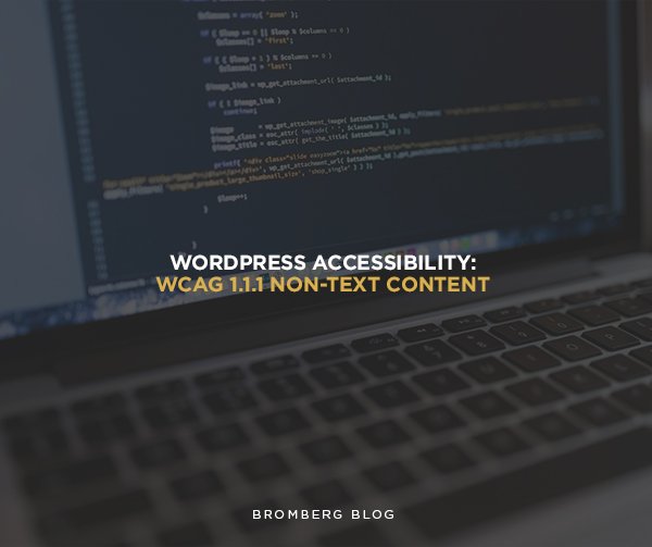 WordPRess Accessibility WCAG